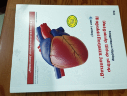 Bagaimana Hidup Berkualitas dengan Penyakit Jantung?